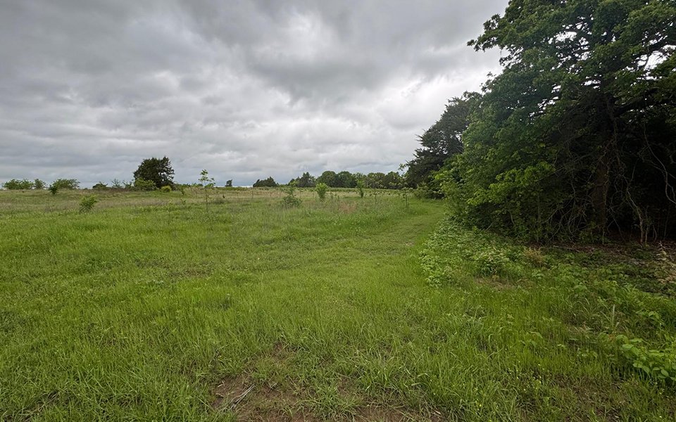 Peaceful RV sites surrounded by trees at Queen & Duke RV Resort in Whitesboro, Texas