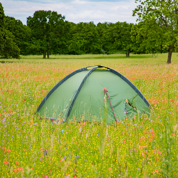 Peaceful RV sites surrounded by trees at Queen & Duke RV Resort in Whitesboro, Texas